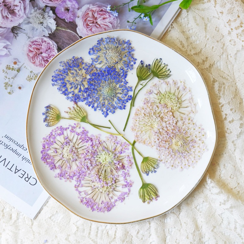 12개의 압축 에메랄드 진주 꽃, DIY 공예, 휴대폰 - Dried Flower Bookmark 리뷰 및 가격